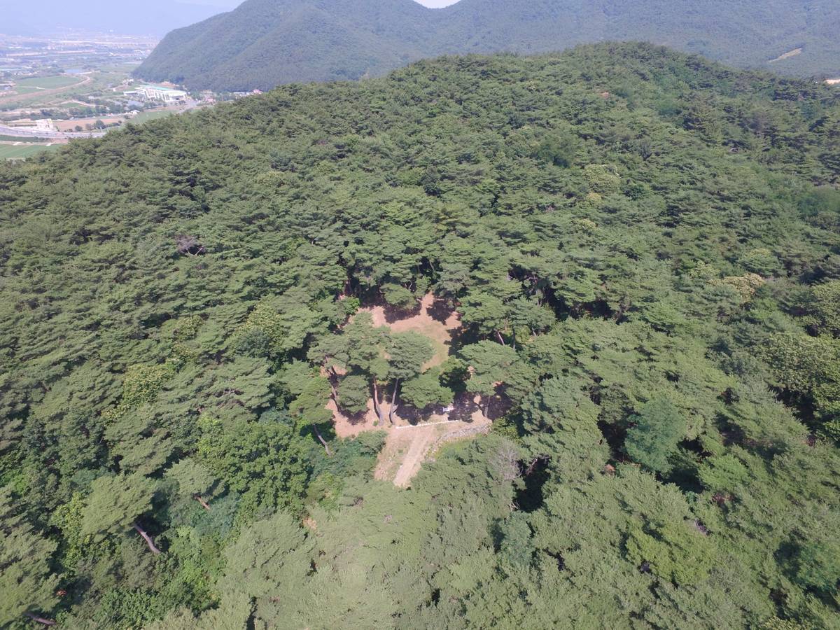 경주 법흥왕릉