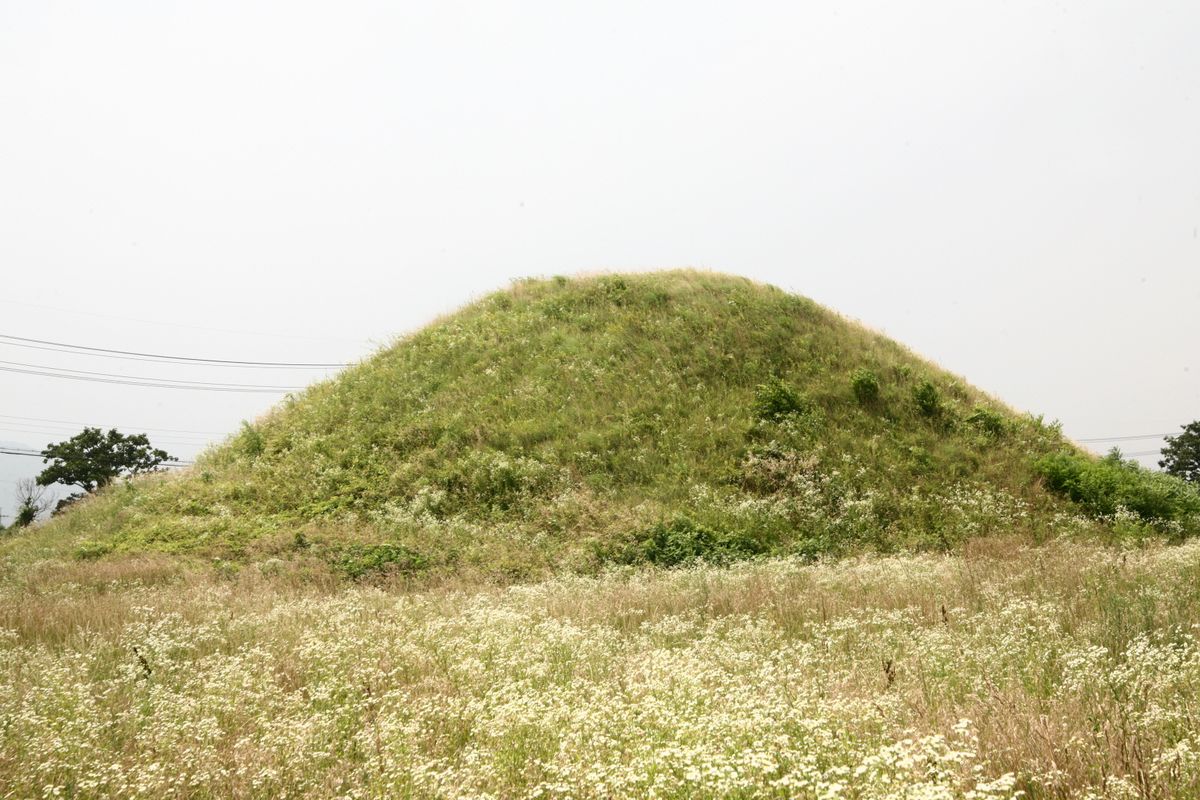 경주 금척리 고분군