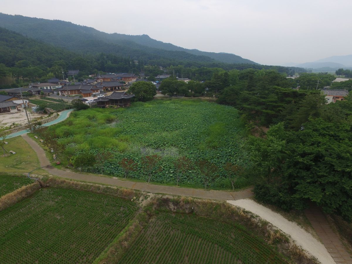 경주 서출지