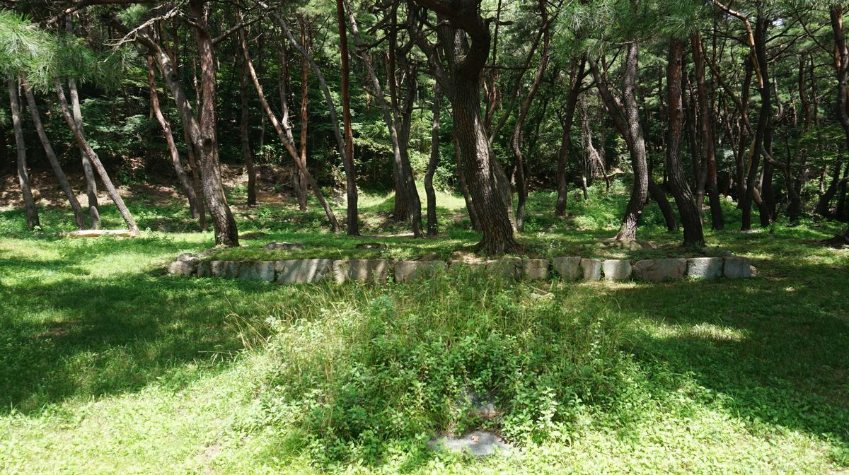경주 원원사지