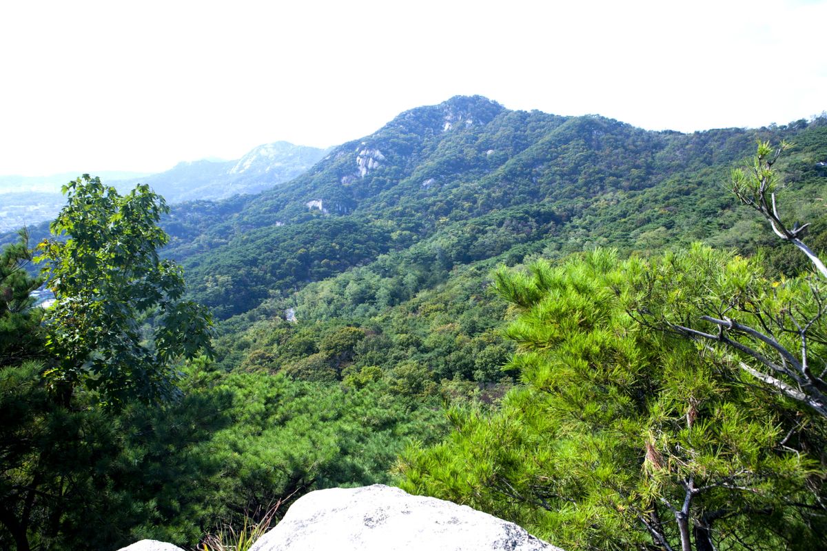 서울 백악산 일원